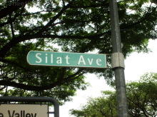 Silat Avenue #99982
